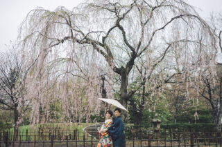 桜の季節が始まりました