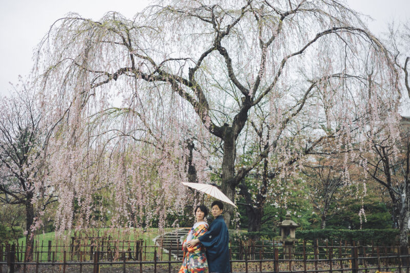 桜の季節が始まりました