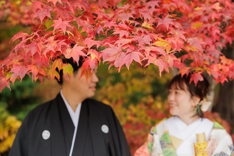 中島公園紅葉ロケーション
