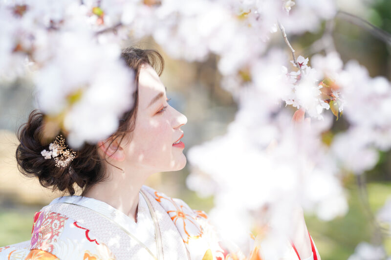 桜ロケーションPart8