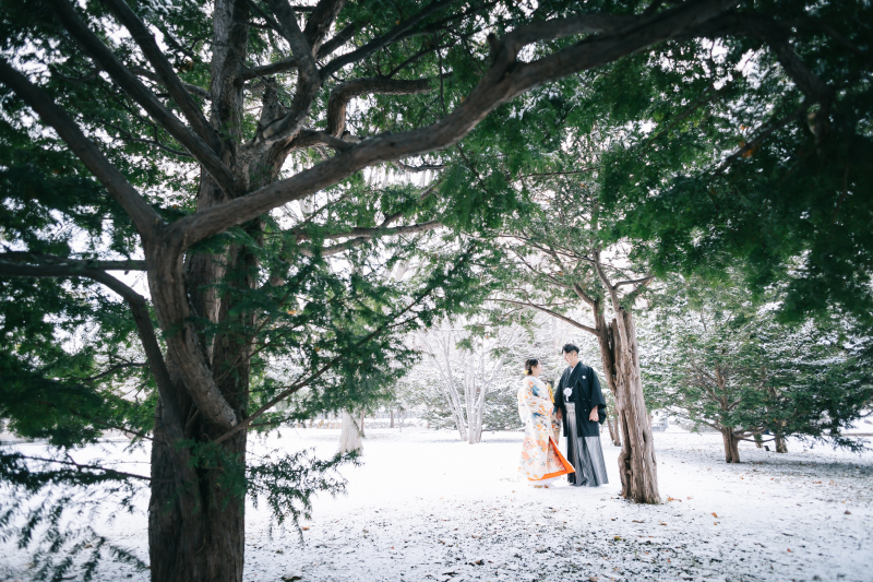 森の中のように