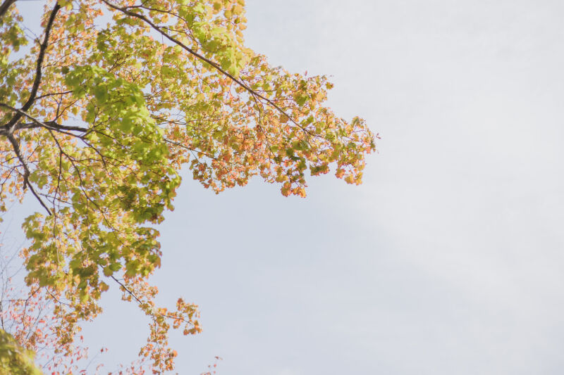 撮影ありがとうございました＾＾