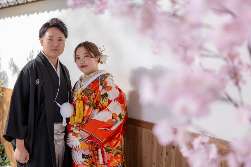 桜フォト、まだ撮れます!