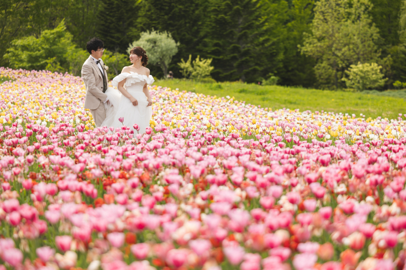 満開のチューリップ