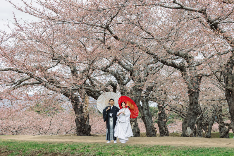 SOLAの新しいロケ地、函館でお待ちしてます！