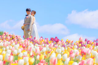 可愛い！！チューリップとの写真はここがイチオシ！！