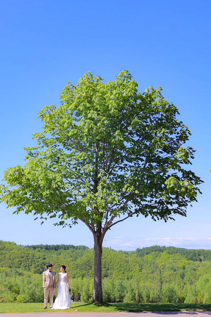 これはキタ！！と思った1枚です