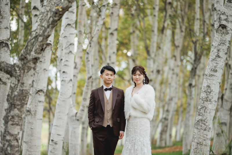 大自然を感じる白樺並木