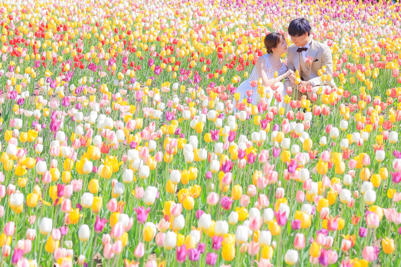 これイチオシカット