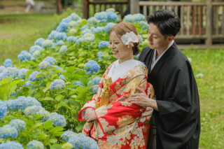 紫陽花ピークの中島公園