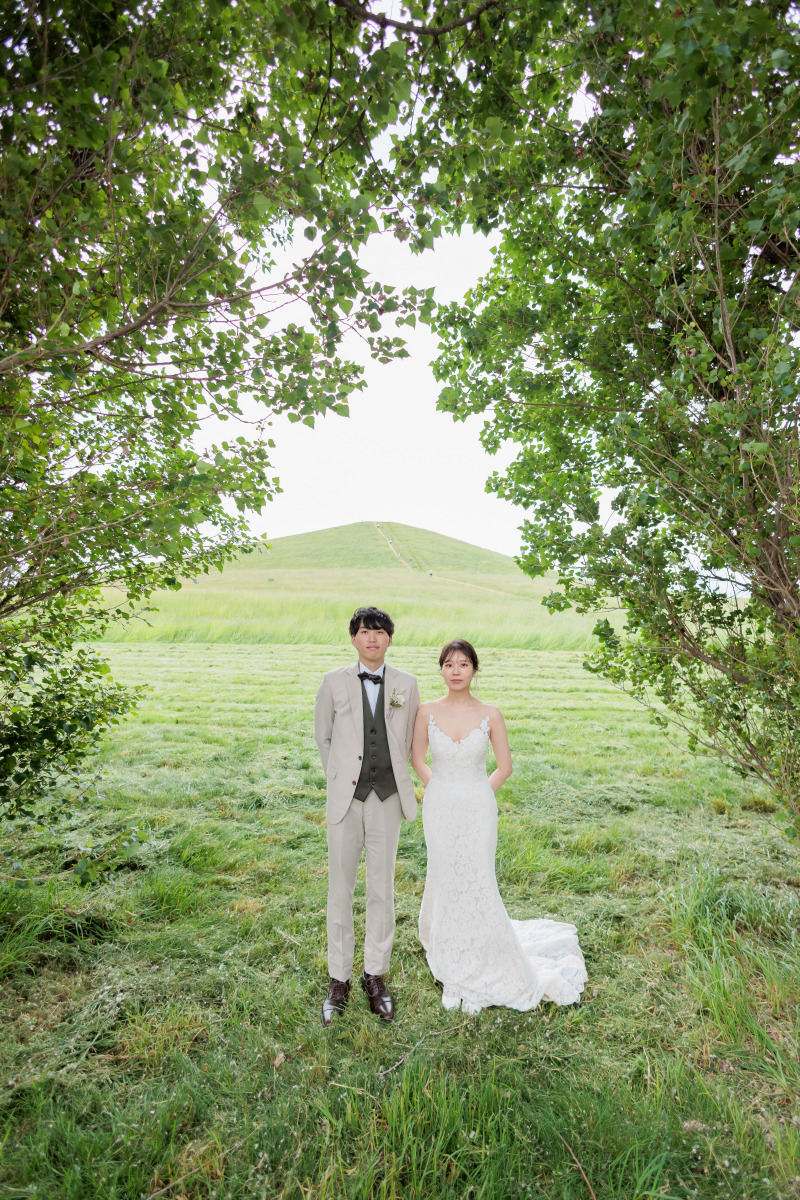 北海道らしいポプラの風景