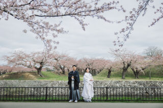函館で撮る桜ウェディングフォト