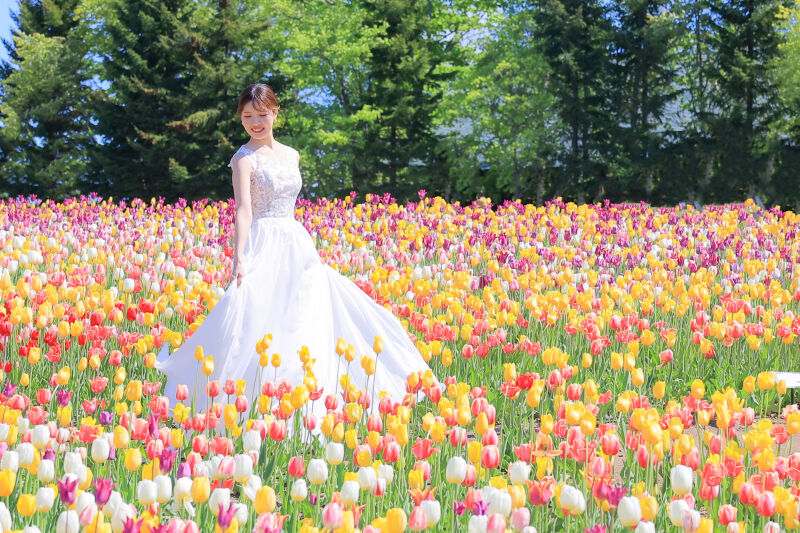 ソロカット×チューリップ＝間違いなし♪