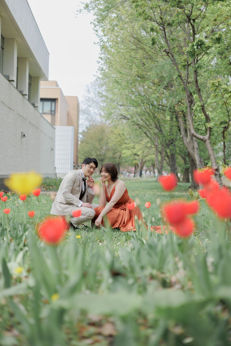 ここにはチューリップ