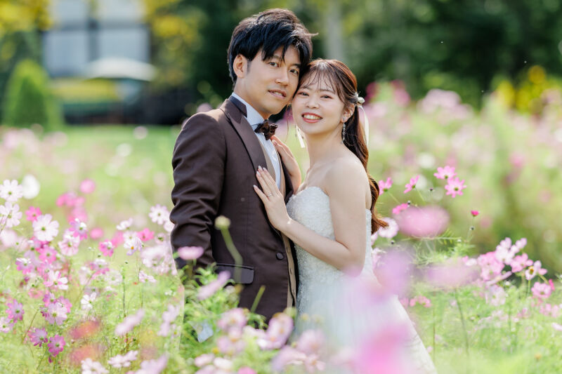 淡い色味はコスモスならでは