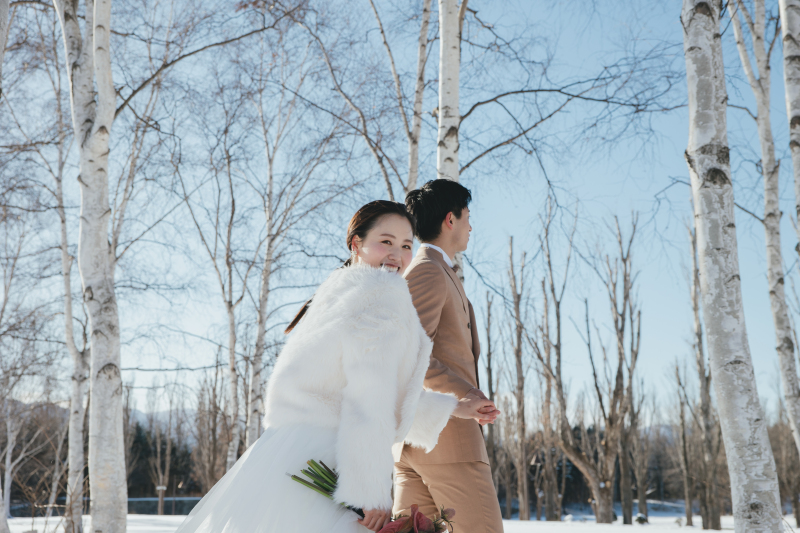 爽やかな青空と白樺