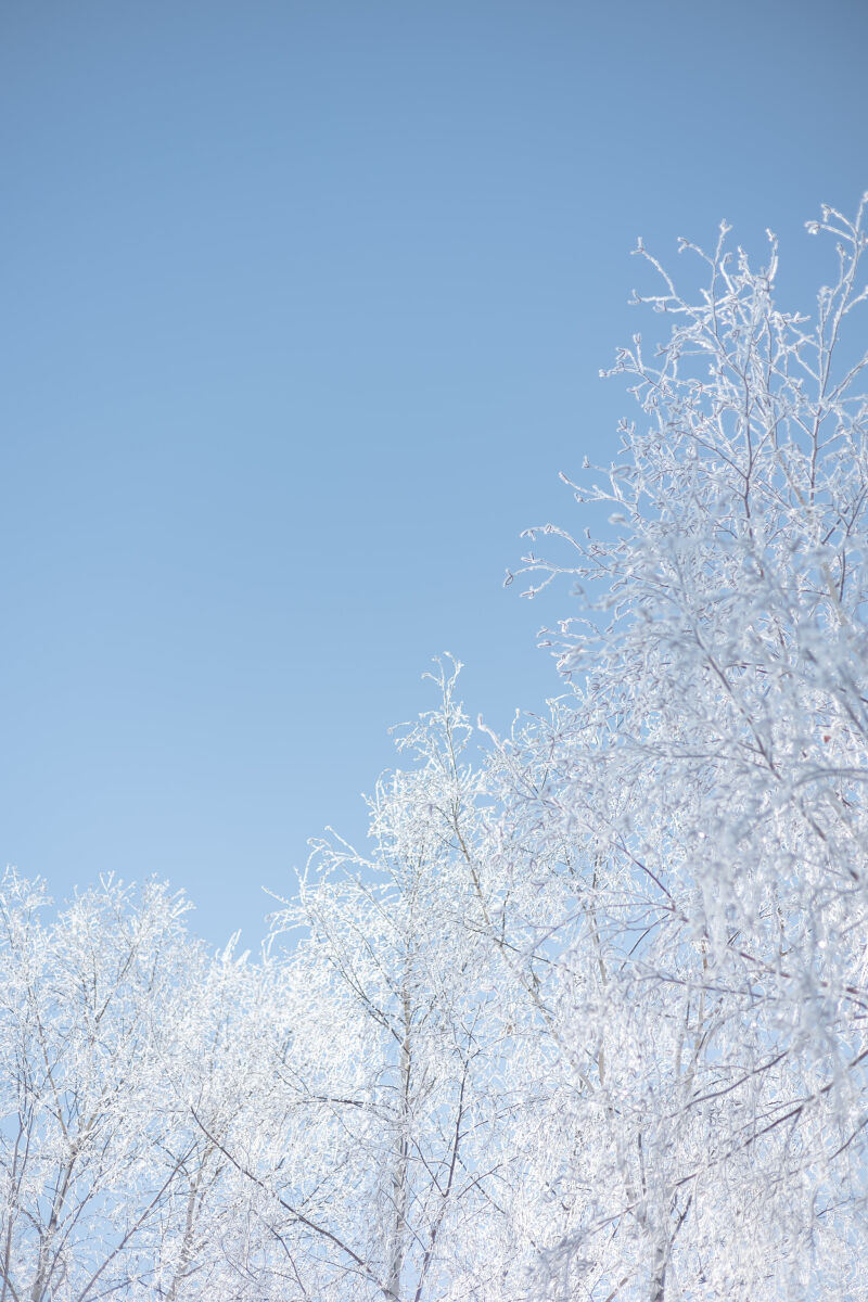 美瑛店のチャペル