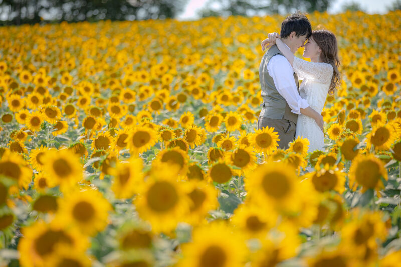 STUDIO SOLA 札幌店(スタジオSOLA)_人気スポットで撮影できる