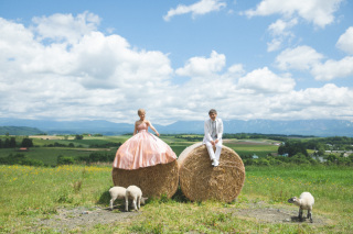 もうかわいいが渋滞してもうてる。かわいいもん、全部。