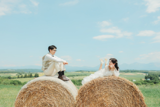 北海道らしい牧場での1コマ。お部屋のインテリアにも◎