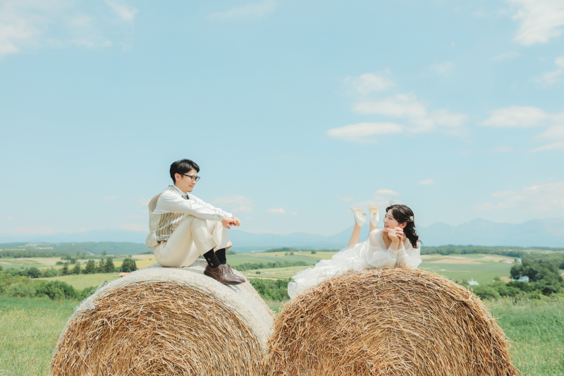 北海道らしい牧場での1コマ。お部屋のインテリアにも◎