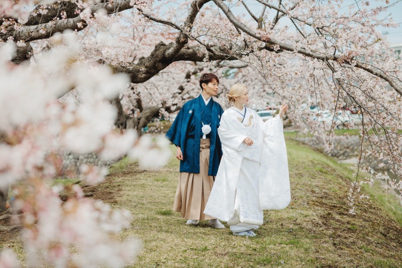 【函館エリア】期間限定 函館桜ロケーション2ヶ所