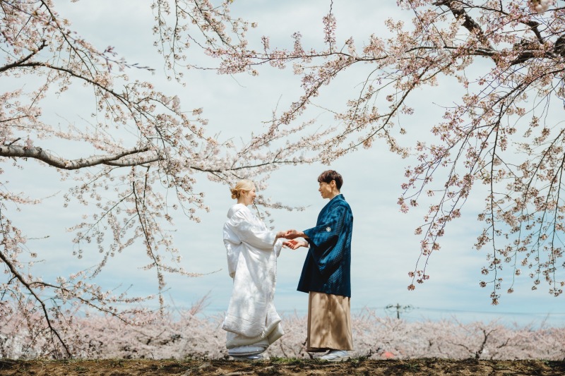 【函館エリア】期間限定 函館桜ロケーション2ヶ所