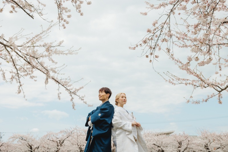 【函館エリア】期間限定 函館桜ロケーション2ヶ所