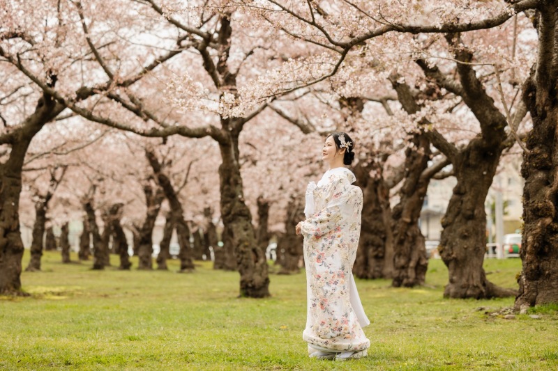 【期間限定】函館・桜ロケーション