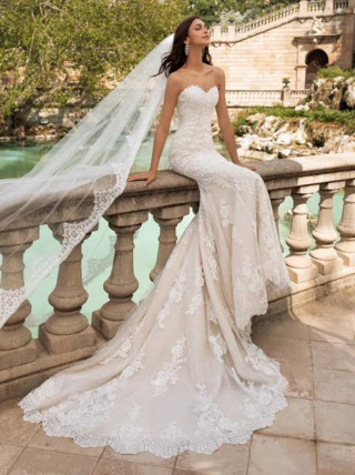 pronovias princia_用賀提携店