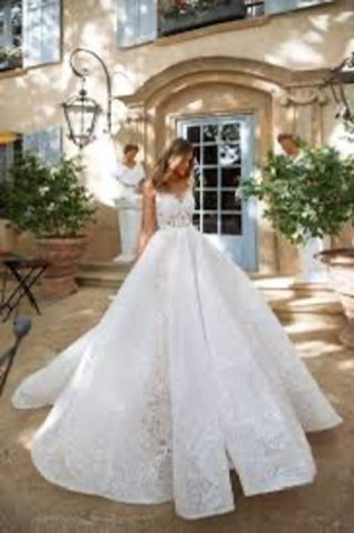 milla nova kamelia_用賀提携店