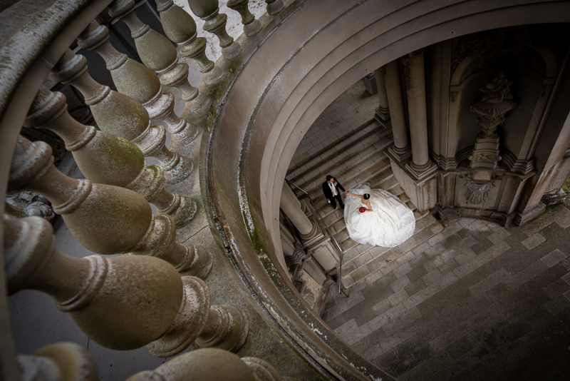 コントラストが際立つ1枚!