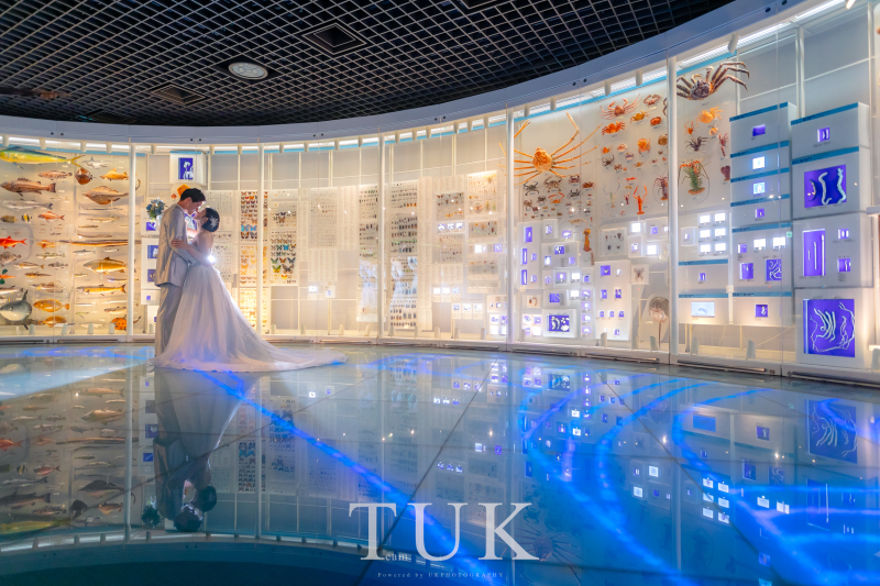 青の光が幻想的!