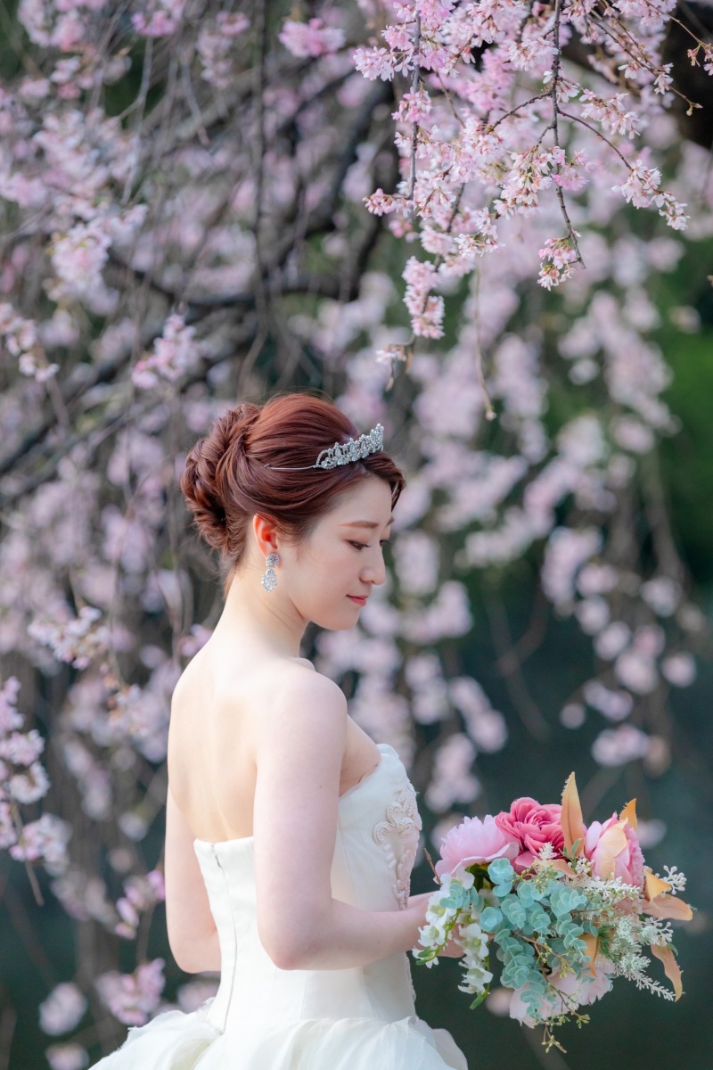 桜の時期ならではのショット