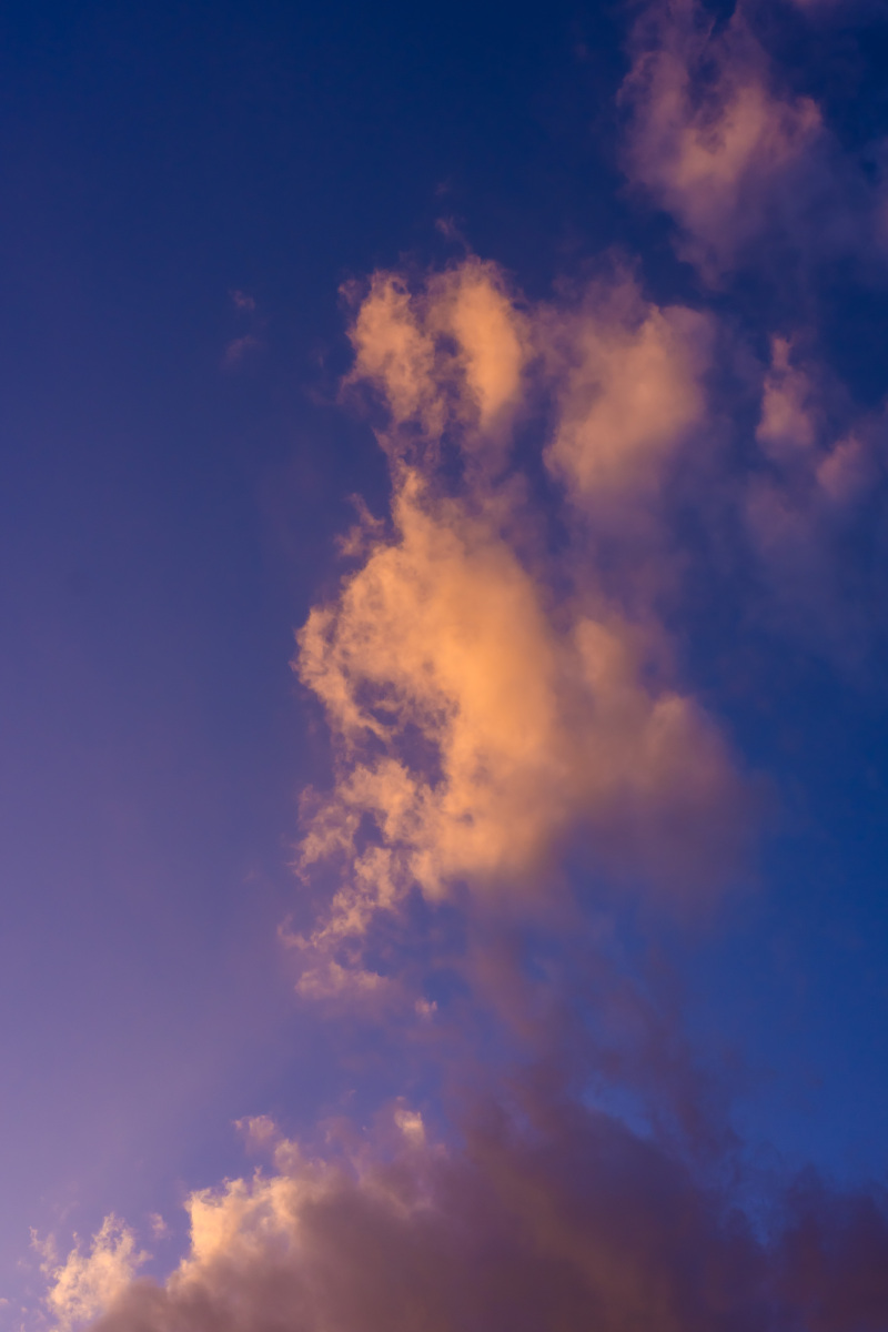 今日の空模様♪