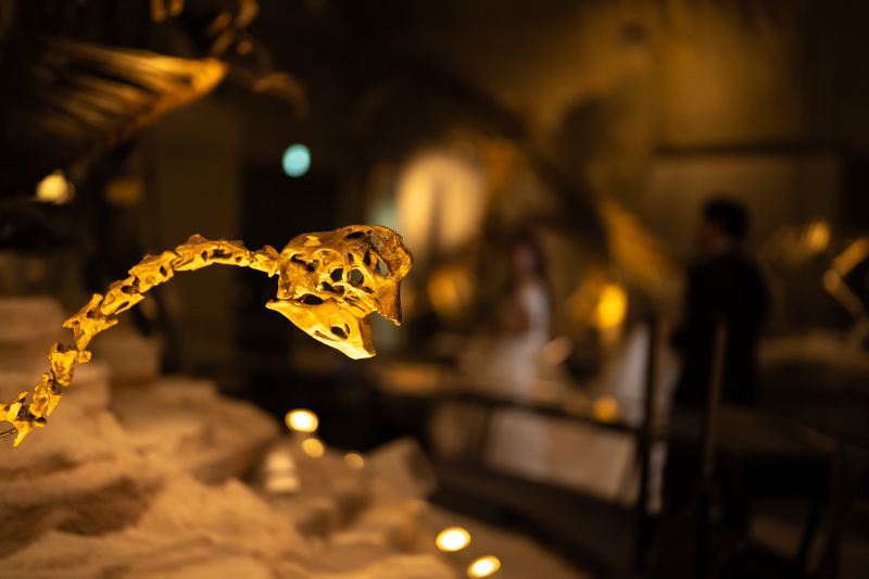 ここでしか撮れない写真・・・