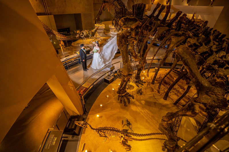 定番のドレスふわり♪