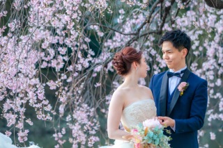 桜ロケーション