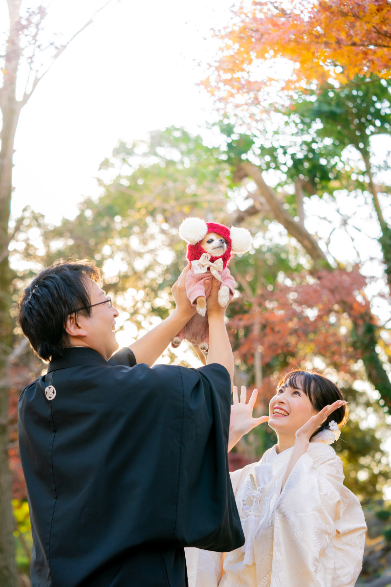 TEAM UK WEDDING | チームUK_ペットと一緒に撮影できる