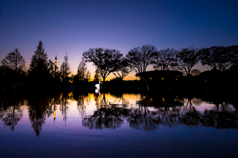 【出張】庭園&ガーデン撮影ウェディングプラン 【前撮り】
