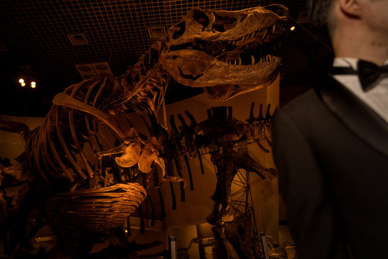 【ナイトミュージアムウェディング】国立科学博物館 ''かはく'' フォトプラン【新婦衣装& 新婦メイク・ヘアメイク込】