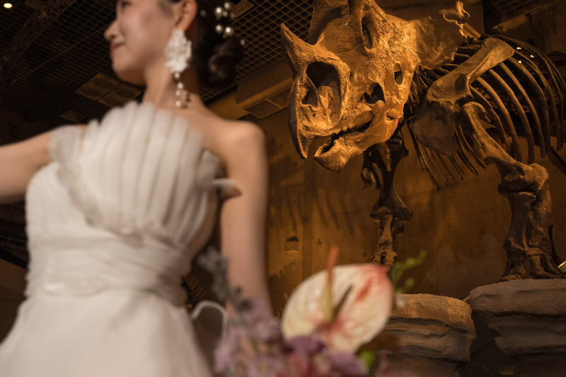 【ナイトミュージアムウェディング】国立科学博物館 ''かはく'' フォトプラン【新婦衣装& 新婦メイク・ヘアメイク込】