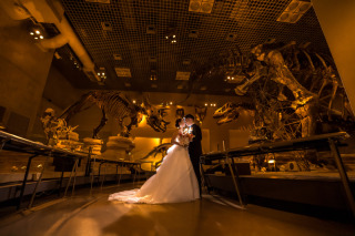 【 かはく:データのみプラン】国立科学博物館データ100カット & 新婦美容込　【レンタルなし】