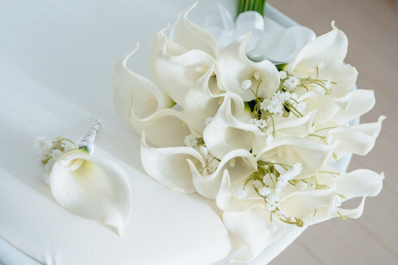 【ドレス2着 &タキシード】スタジオ前撮りフォトプラン【 用賀スタジオ限定】