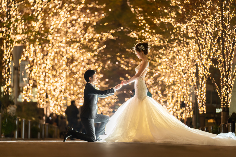 【東京駅限定50%OFF!! 】ロケフォトインクルーシブプラン【新婦ドレス&小物レンタル込み】