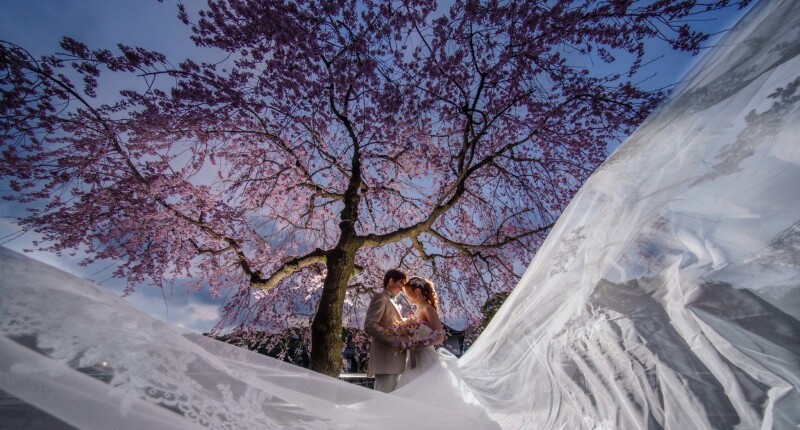 【出張】庭園&ガーデン撮影ウェディングプラン 【前撮り】