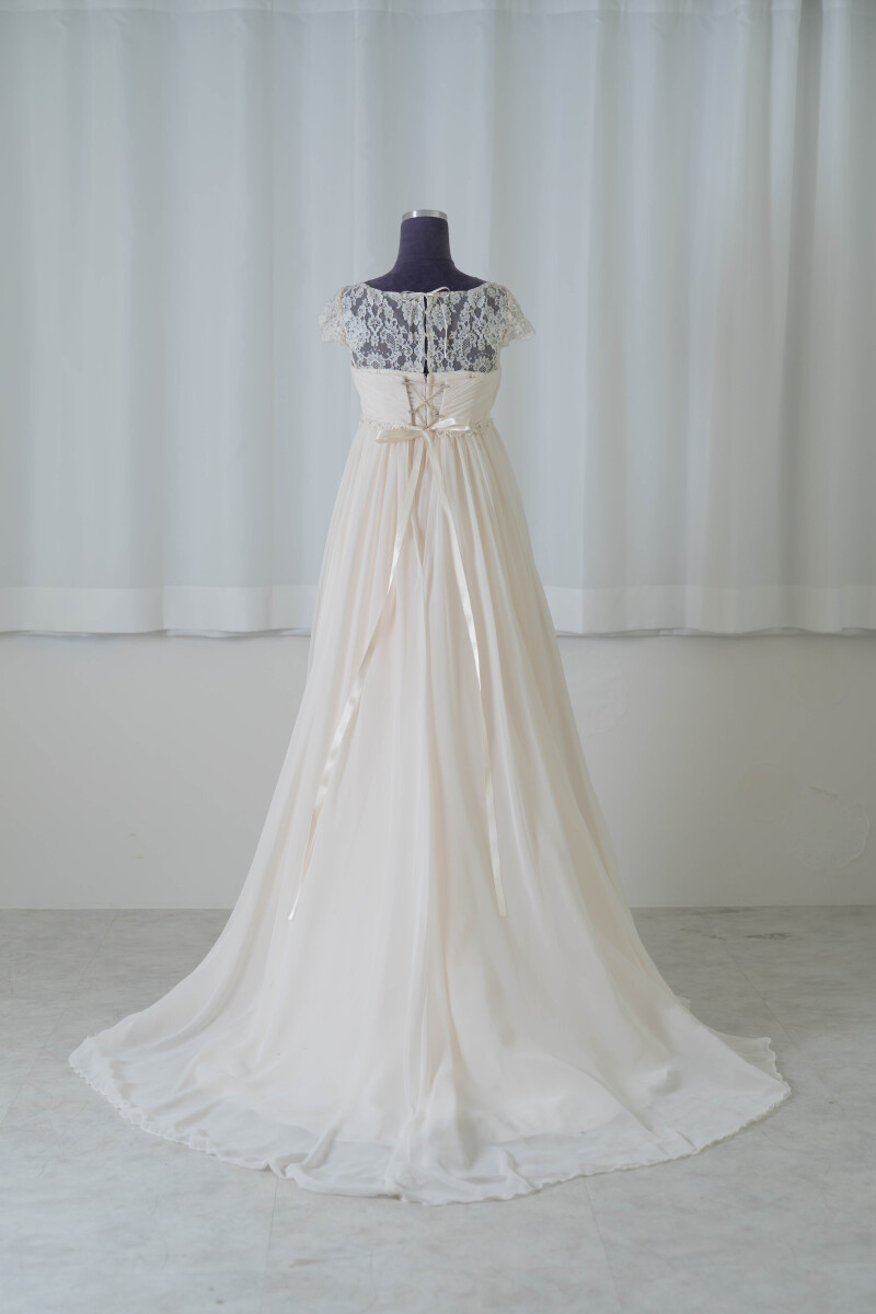 WD-1254（袖あり）●