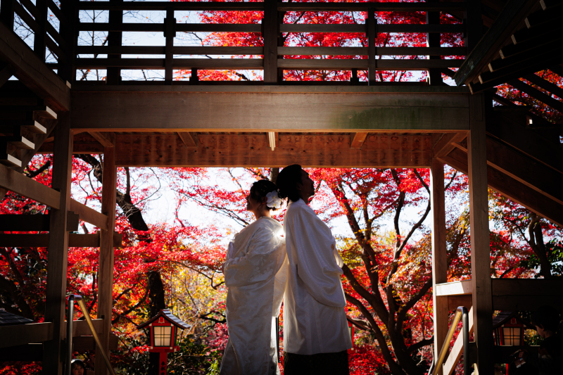 等々力不動尊で紅葉撮影