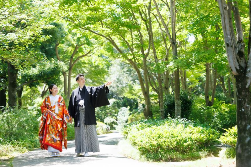 森の中にいるようなお写真