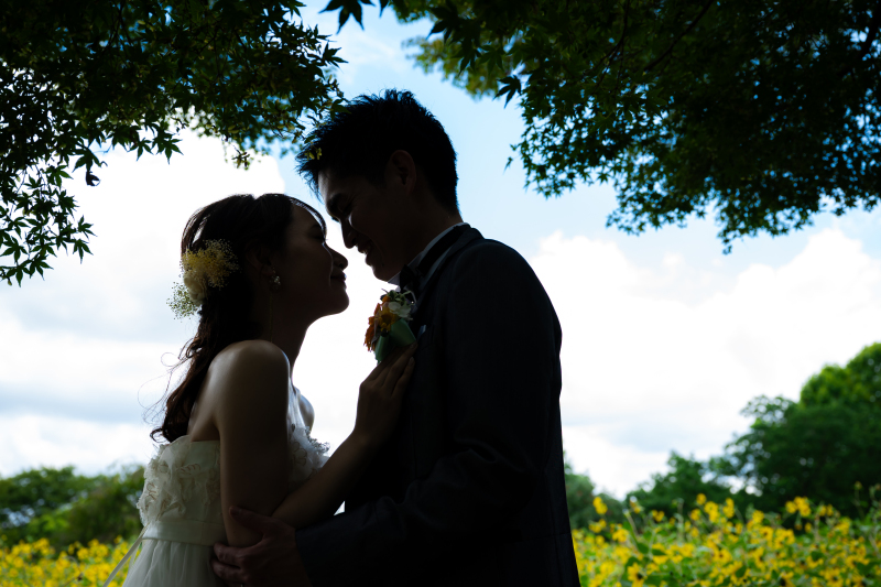 《 ひまわり×シルエット 》